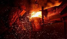 永年老鸟爆料最新消息,最新爆料带你直击行业内幕